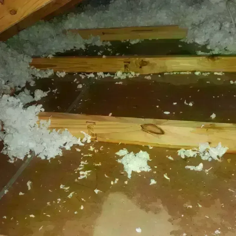 Attic Water Damage in Baker, MT